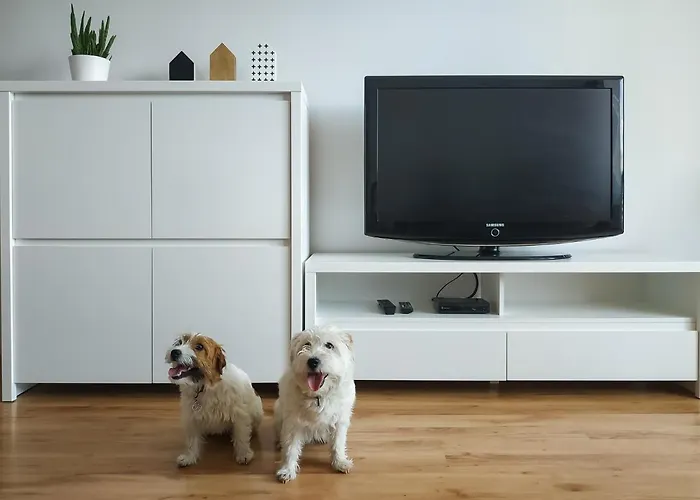 Uroczy Apartament Pod Skarpa